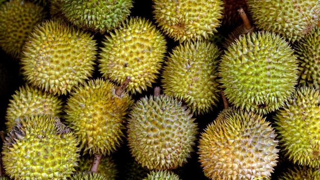 Buah duren dengan rasa maknyus | enak dan rasanya sangat nikmat