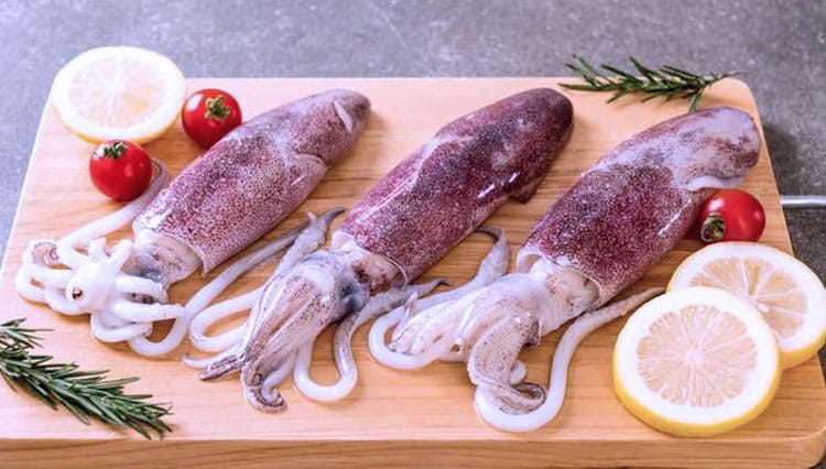 Cumi – Cumi jadi makanan lezat dengan daya tarik baru bikin ngiler makanan